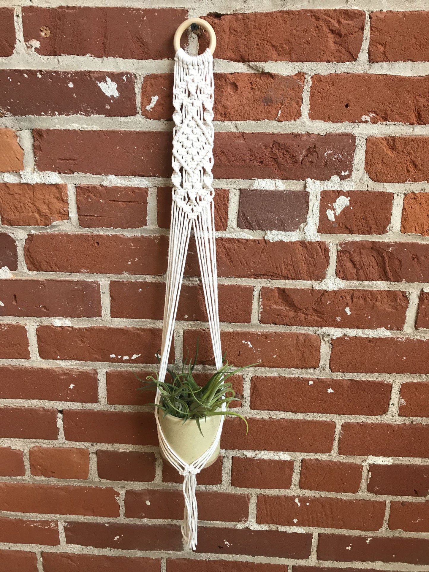 DIY Macrame Plant Hanger Kit - The Evelyn