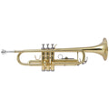 Trumpet Yellow Brass with Gold Lacquer Bb (Copy) Doba