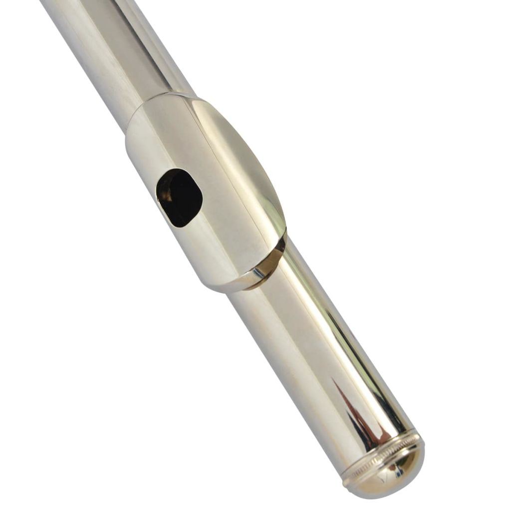 Silver Flute with Soft Case 16 Holes (Copy) Doba